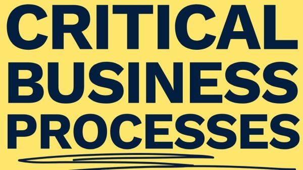 Identifying critical business processes