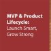 Minimum Viable Product And Product Lifecycle