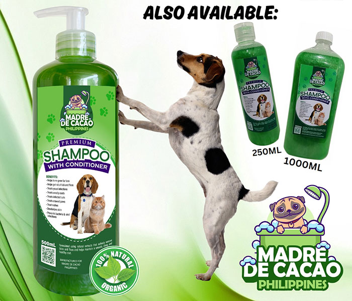 madre-de-cacao-2