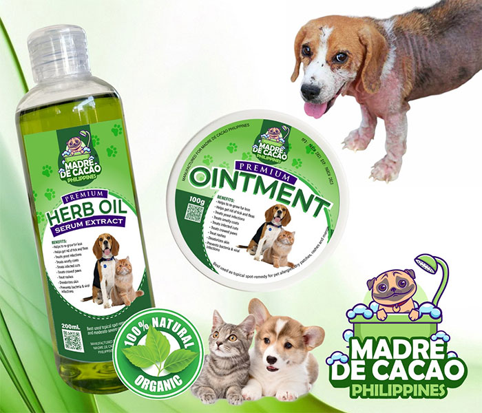 madre-de-cacao-4