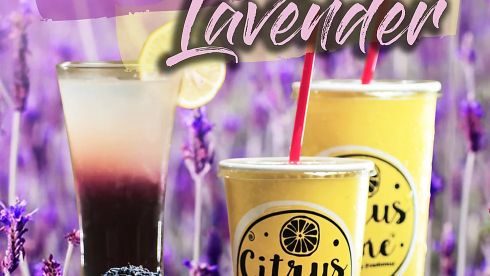 lemon-lavander-zen-cooler